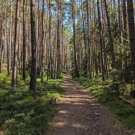 Cizovka *
